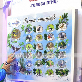 «Голоса птиц» с индукц.системой 840х640