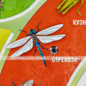 «Насекомые», 440x640 мм