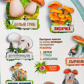 «Грибы», с индукц системой, 440x640 мм