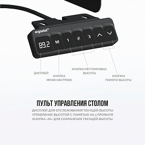 Стол с регулировкой высоты Эргостол Старт 3.0